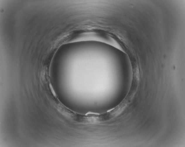 X0000080110233200612081235