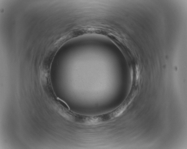 X0000080110235200612081235