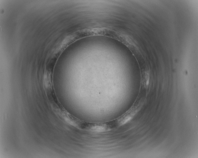 X0000080110236200612081235