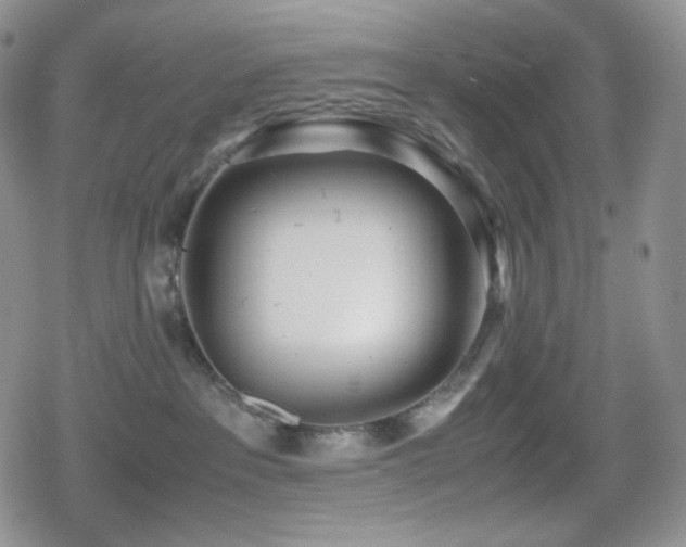 X0000080110237200612081235