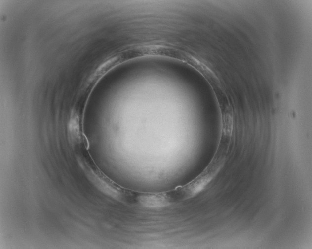 X0000080110238200612081235