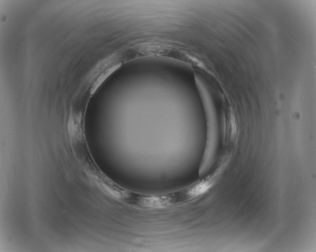 X0000080110239200612081235