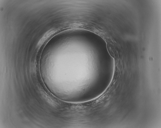 X0000080110242200612081234