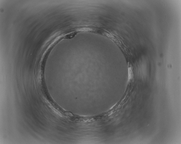 X0000080110243200612081234