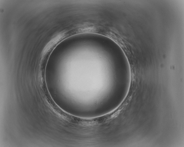 X0000080110245200612081234