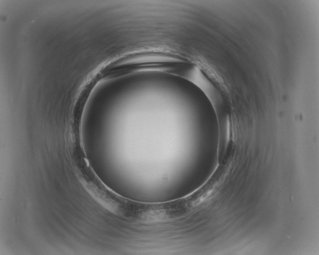 X0000080110252200612081234