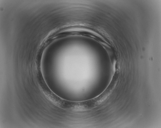 X0000080110256200612081234