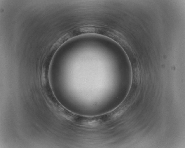 X0000080110267200612081234