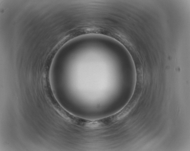 X0000080110269200612081234