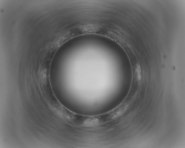 X0000080110271200612081234