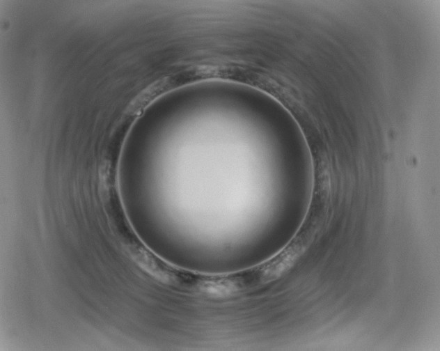 X0000080110275200612081234