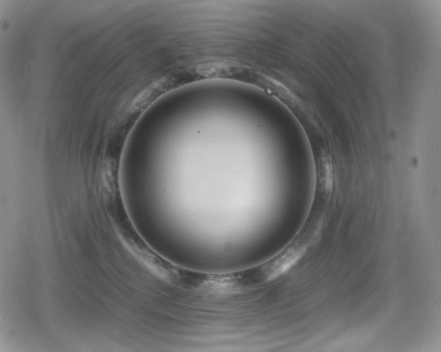 X0000080110280200612081235