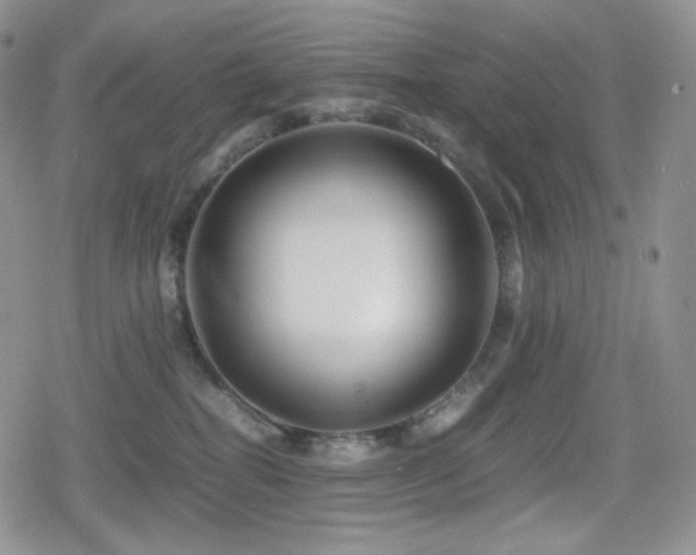 X0000080110282200612081235