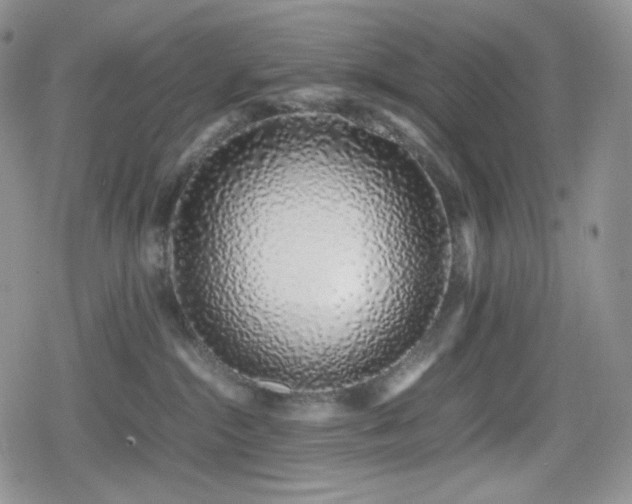 X0000080110284200612081235
