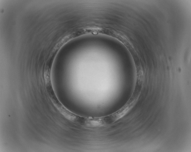 X0000080110285200612081235