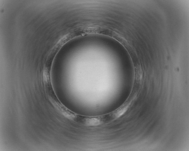 X0000080110287200612081235