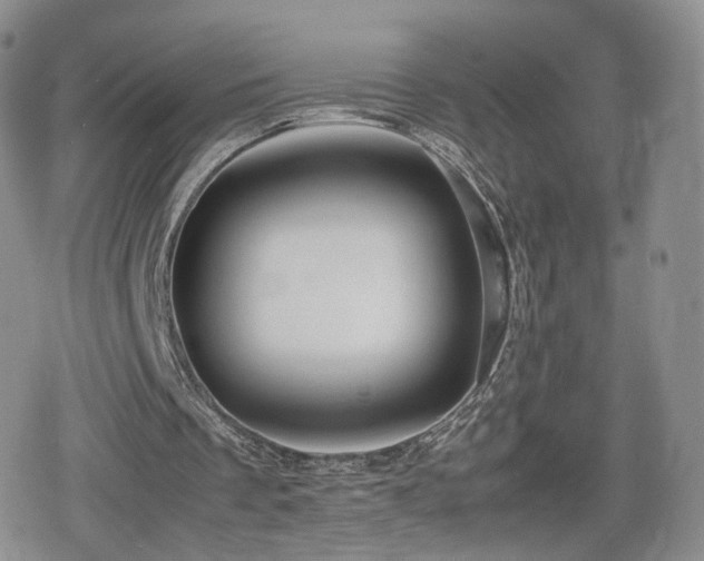 X0000080110289200612081234