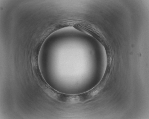 X0000080110317200612081233