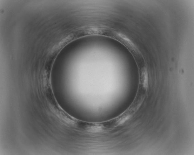 X0000080110318200612081233