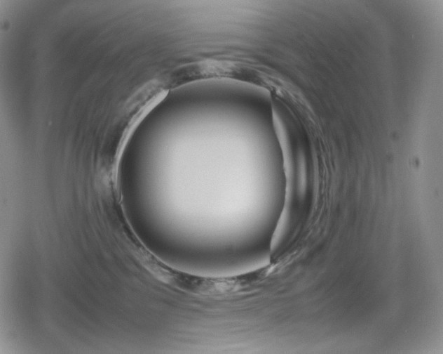 X0000080110329200612081233