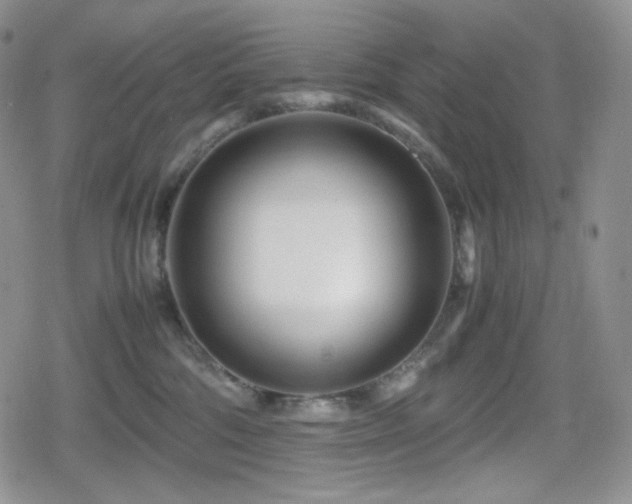 X0000080110330200612081233
