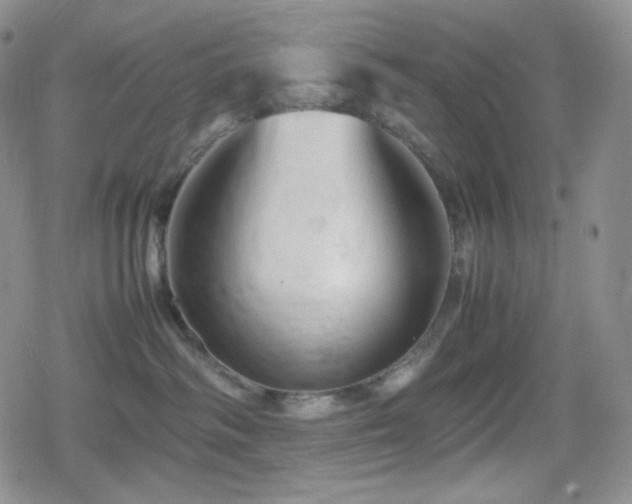 X0000080110334200612081233