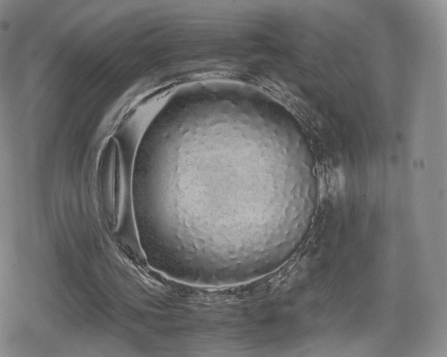 X0000080110339200612081232