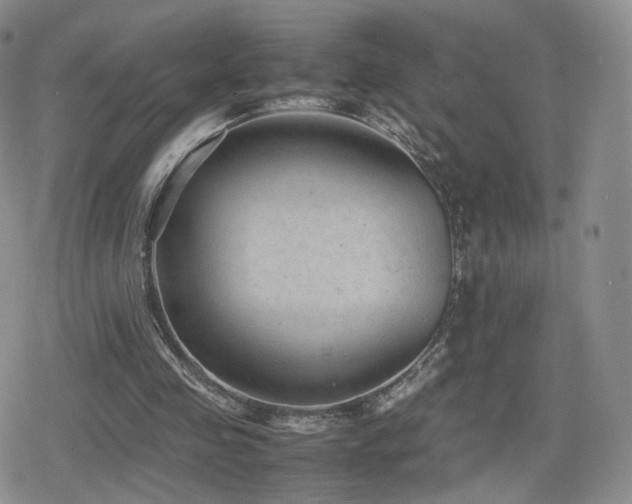 X0000080110341200612081232