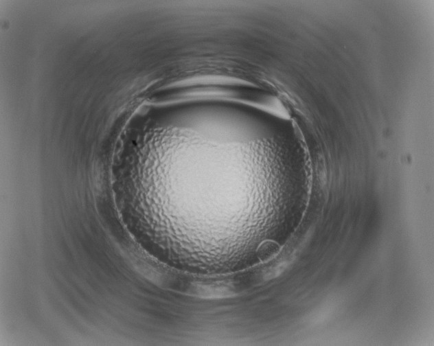 X0000080110359200612081233