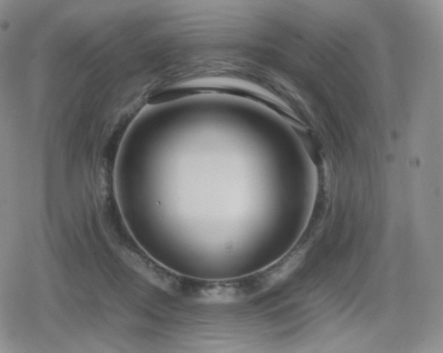 X0000080110362200612081233