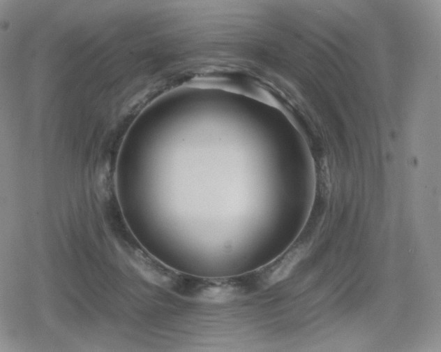 X0000080110364200612081233