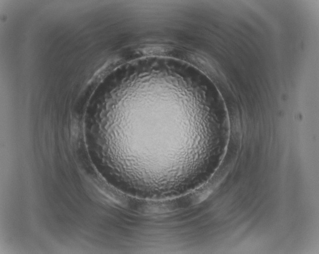 X0000080110367200612081233