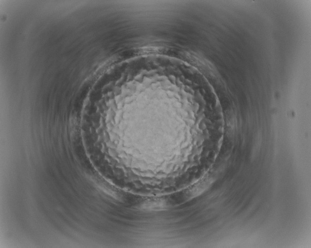 X0000080110369200612081233