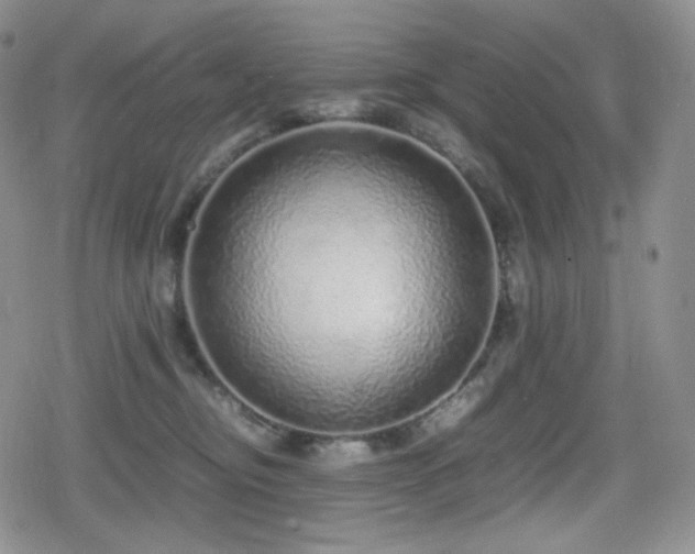 X0000080110374200612081233