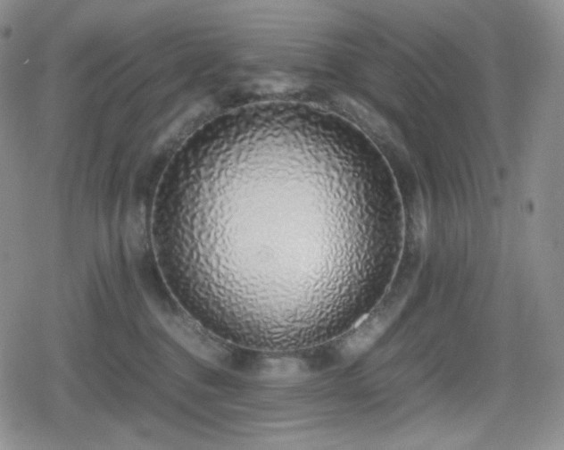 X0000080110376200612081233