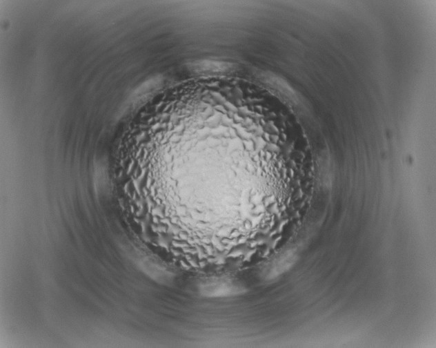 X0000080110377200612081233