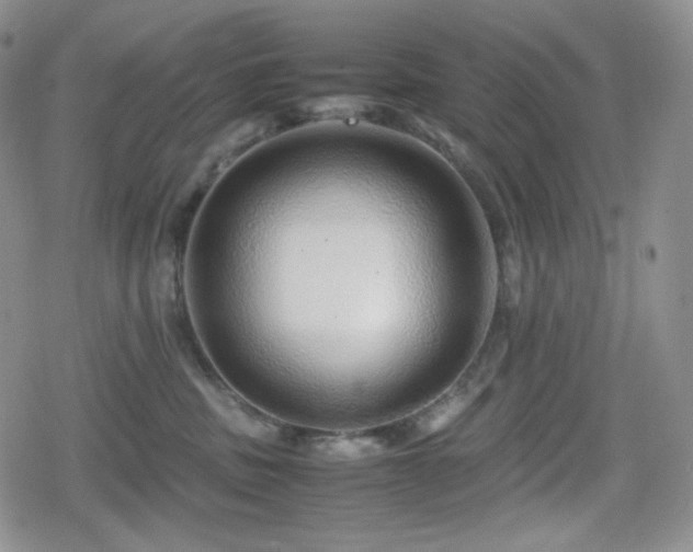 X0000080110379200612081233