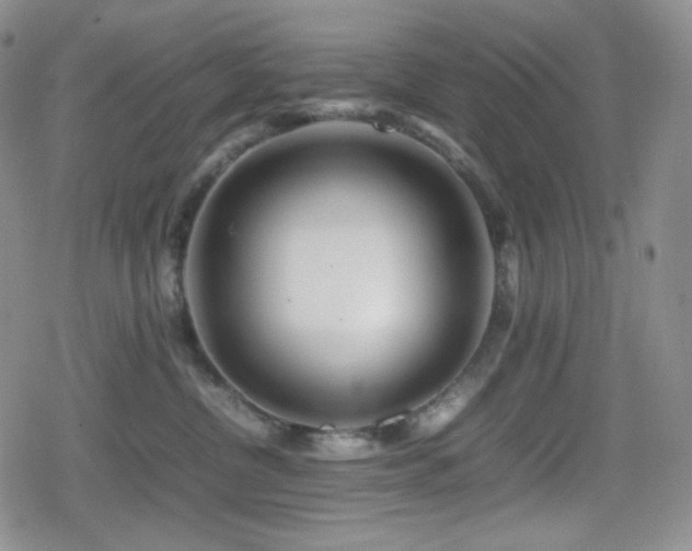 X0000080110380200612081233