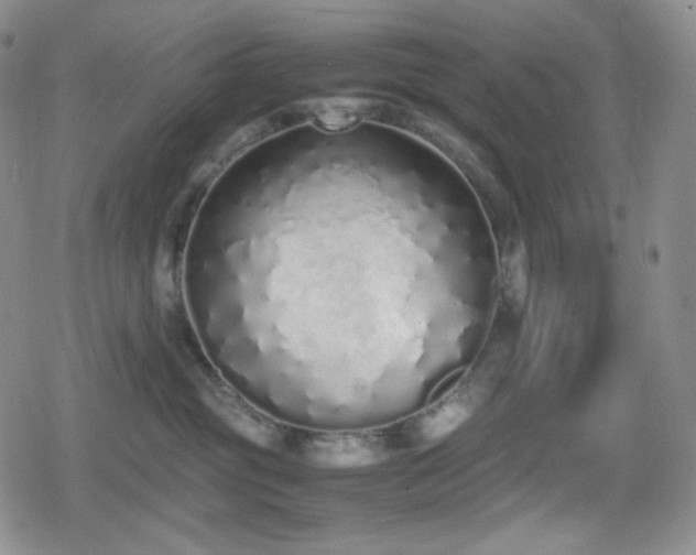 X0000080110381200612081233