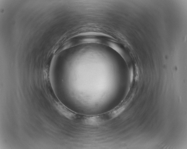 X0000080110382200612081233