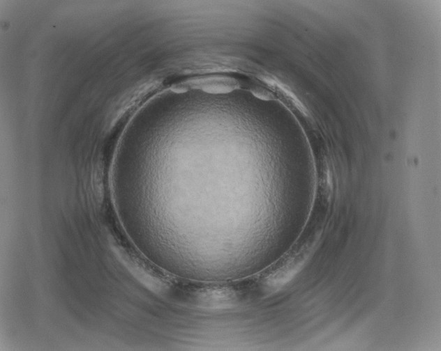 X0000080110402200612081232