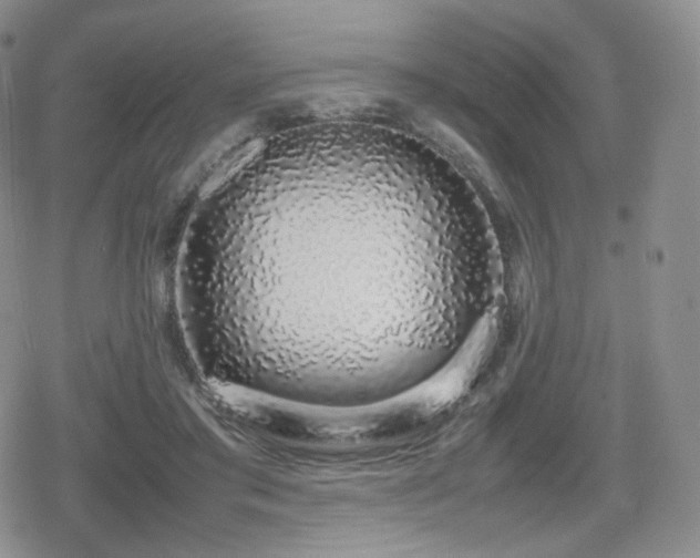 X0000080110405200612081232