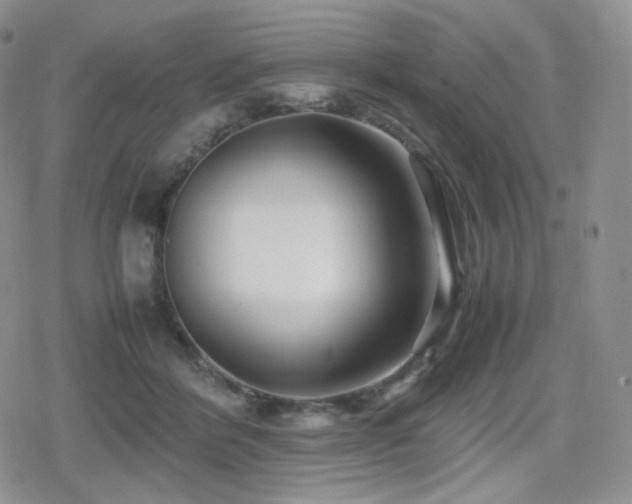 X0000080110412200612081232