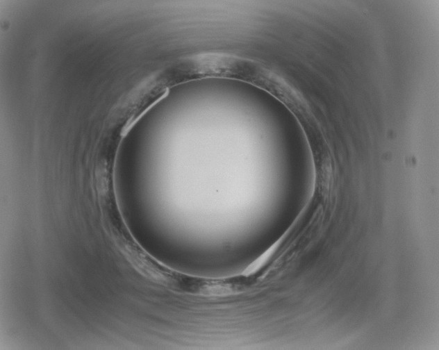 X0000080110413200612081232