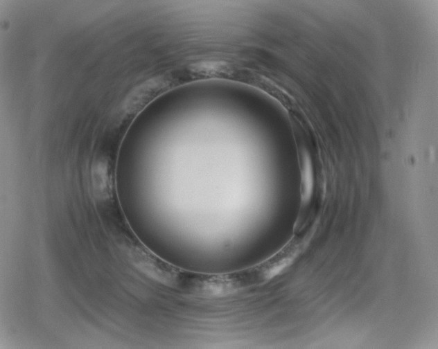 X0000080110420200612081232