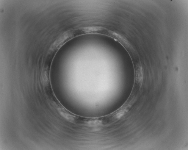 X0000080110426200612081232