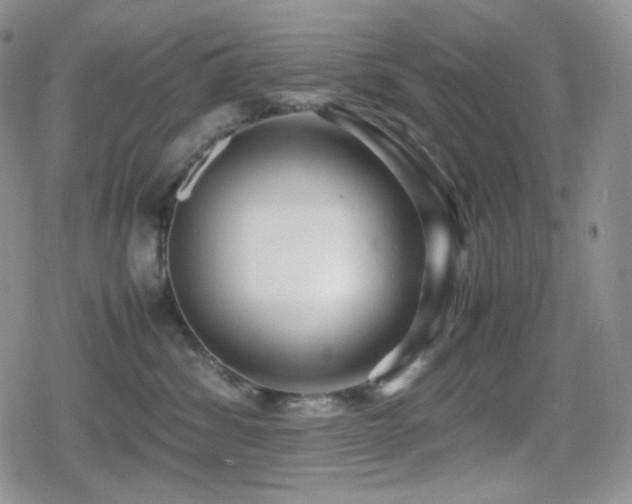 X0000080110428200612081232