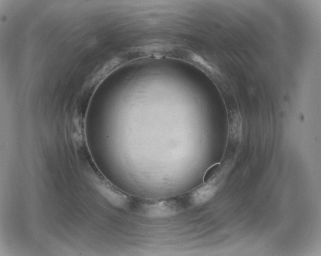 X0000080110430200612081232