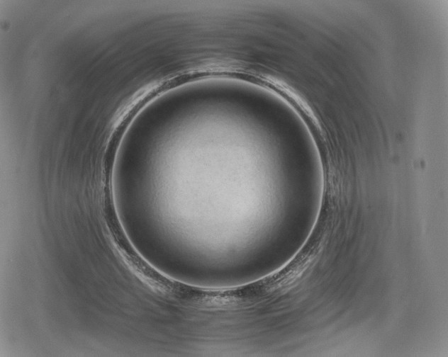 X0000080110437200612081231
