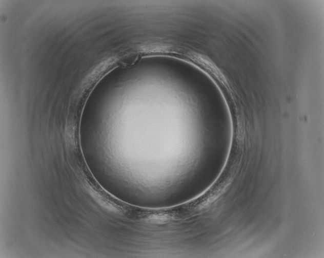 X0000080110441200612081231